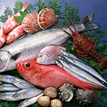 t(y)ˎU̎ИI(y)F(xin)